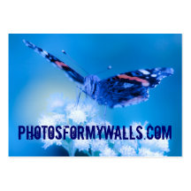 PHOTOSFORMYWALLS.COM BUSINESS CARD