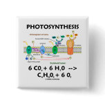 Photosynthesis (Carbon Dioxide + Water) Pins
