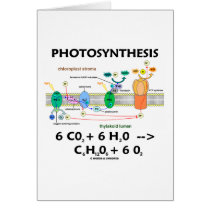 Photosynthesis (Carbon Dioxide + Water) cards