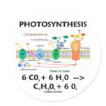 Photosynthesis (Carbon Dioxide + Water) stickers