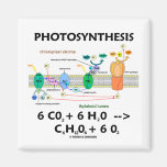 Photosynthesis (Chemical) Formula Fridge Magnets
