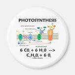 Photosynthesis (Chemical) Formula Fridge Magnets