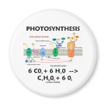 Photosynthesis (Chemical) Formula Fridge Magnets