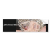PhotoText Sticker Bumper Stickers