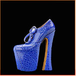 PHOTSCULPTURE FOR YOUR DESK- BLUE SHOE HIGH PHOTO SCULPTURE