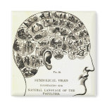 Phrenology Fridge Magnet