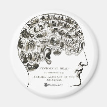 Phrenology Magnet