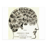 Phrenology Post Card
