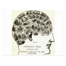 Phrenology Post Card