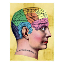 Phrenology Postcard