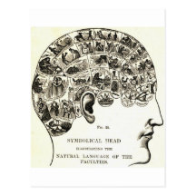 Phrenology Postcards