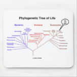 Phylogenetic Tree Of Life - You Are Here (Biology) mousepads