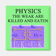 PHYSICS REFRIGERATOR MAGNETS