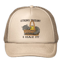 Physics String Theory Cat Hats