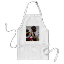 Physiotherapist Aprons