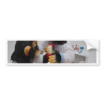 Physiotherapist bumper stickers
