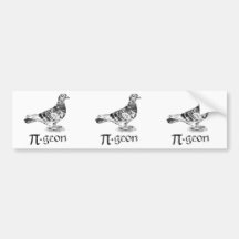 PI-geon Bumper Sticker