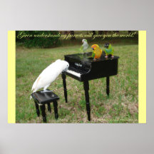 Pianist Parrots Print