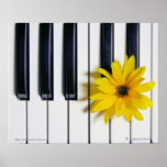 Piano Flower posters
