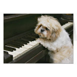 piano player greeting cards