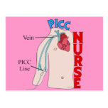 PICC Line Nurse Anatomical  Design Gifts Postcards