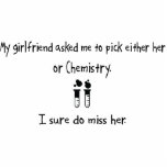 Pick Girlfriend or Chemistry photo sculptures