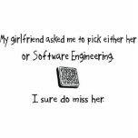 Pick Girlfriend or Software Engineering photo sculptures