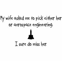 Pick Wife or Aerospace Engineering Photo Cut Outs