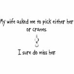 Pick Wife or Cranes photo sculptures