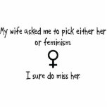 Pick Wife or Feminism photo sculptures