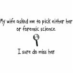 Pick Wife or Forensic Science photo sculptures