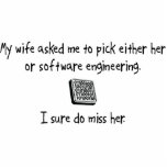 Pick Wife or Software Engineering photo sculptures