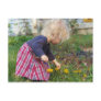 Picking Dandelions Postcard