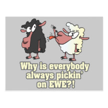 picking on EWE black sheep humour Postcards