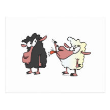 picking on the black sheep cartoon post card