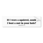 PICKUP LINES - "Can I bust a nut in your hole?" bumper stickers