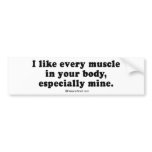 PICKUP LINES - "I like every muscle in your body" bumper stickers