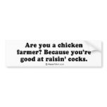 Pickup Lines - "You're good at raising chicks" bumper stickers