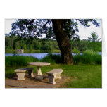 Picnic table under a shade tree near the river card