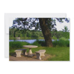 Picnic table under a shade tree near the river invitations