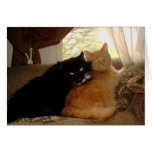 PICT0017 Kitty and Tishabella Card
