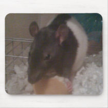 Picture 024 mousepad