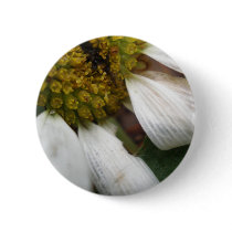 Picture 133 [button]