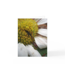 Picture 133 card