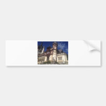 Picture 376.jpg bumper sticker