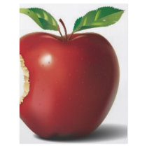 Picture-6