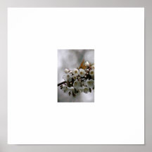 picture frame print