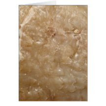 Picture of a Brown Shell. Cards
