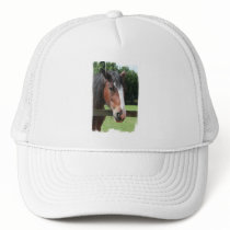 Picture of a Quarter Horse Baseball Hat