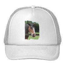 Picture of a Quarter Horse Baseball Hat